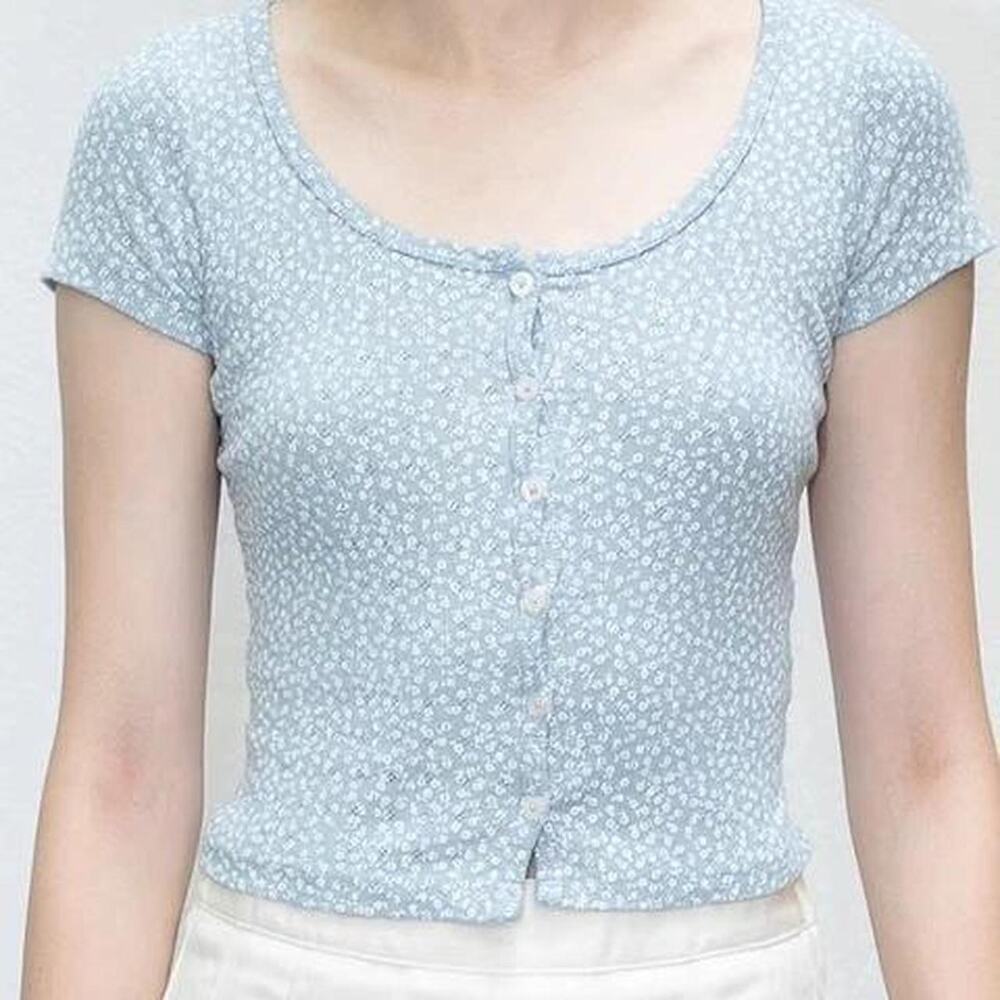 Brandy Melville Blue And White Floral Baby Crop Top